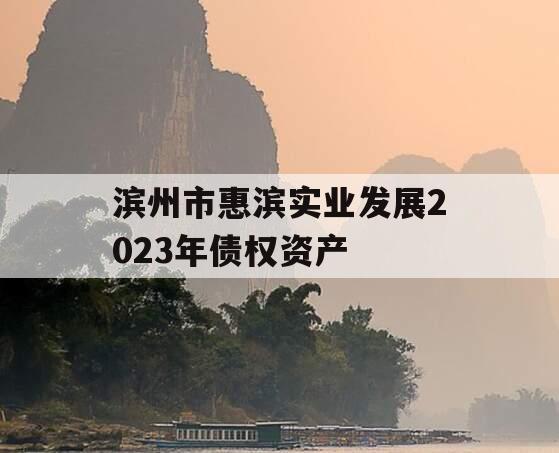 滨州市惠滨实业发展2023年债权资产