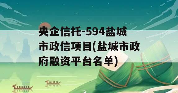 央企信托-594盐城市政信项目(盐城市政府融资平台名单)