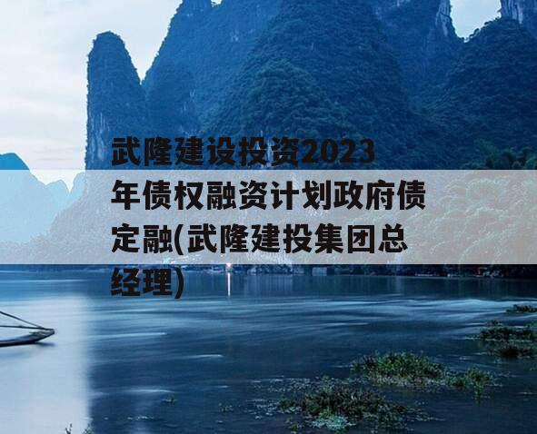 武隆建设投资2023年债权融资计划政府债定融(武隆建投集团总经理)
