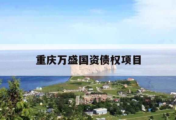 重庆万盛国资债权项目