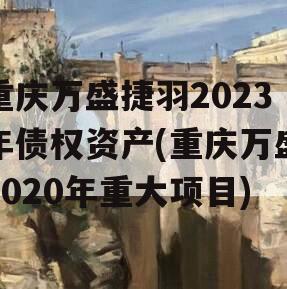 重庆万盛捷羽2023年债权资产(重庆万盛2020年重大项目)