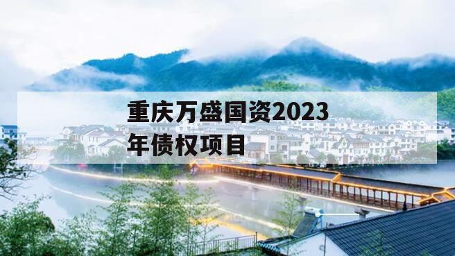 重庆万盛国资2023年债权项目
