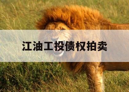 江油工投债权拍卖