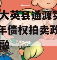 四川大英县通源实业2023年债权拍卖政府债定融