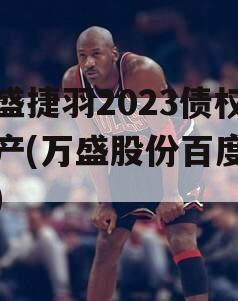 万盛捷羽2023债权资产(万盛股份百度百科)