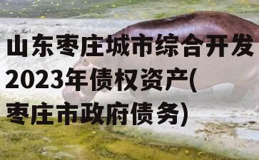 山东枣庄城市综合开发2023年债权资产(枣庄市政府债务)