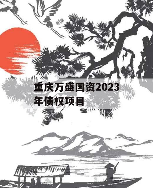 重庆万盛国资2023年债权项目