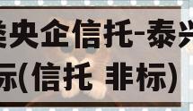 A类央企信托-泰兴市非标(信托 非标)