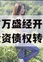 重庆市万盛经开区城市开发投资债权转让项目