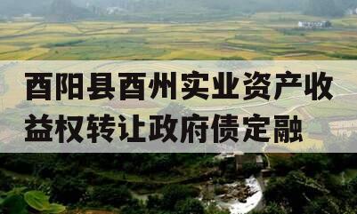 酉阳县酉州实业资产收益权转让政府债定融