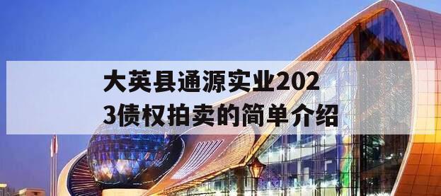 大英县通源实业2023债权拍卖的简单介绍