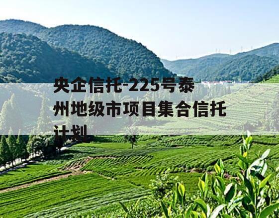 央企信托-225号泰州地级市项目集合信托计划