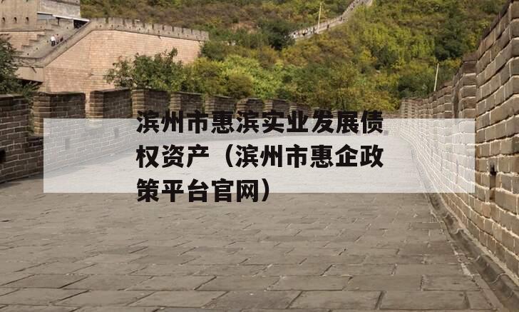 滨州市惠滨实业发展债权资产（滨州市惠企政策平台官网）