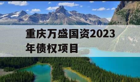 重庆万盛国资2023年债权项目