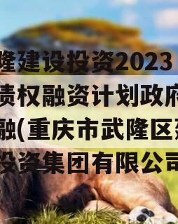 武隆建设投资2023年债权融资计划政府债定融(重庆市武隆区建设投资集团有限公司)