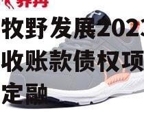 新乡牧野发展2023年应收账款债权项目政府债定融