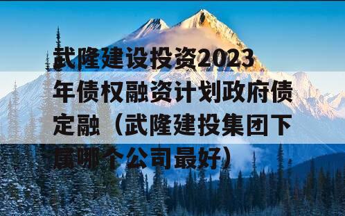 武隆建设投资2023年债权融资计划政府债定融（武隆建投集团下属哪个公司最好）