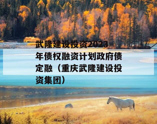 武隆建设投资2023年债权融资计划政府债定融（重庆武隆建设投资集团）