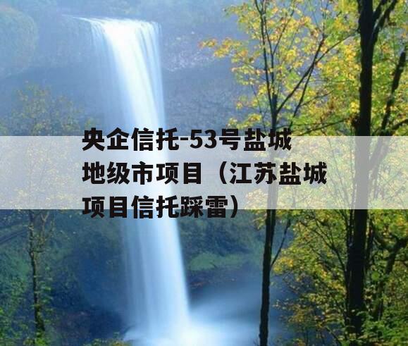 央企信托-53号盐城地级市项目（江苏盐城项目信托踩雷）