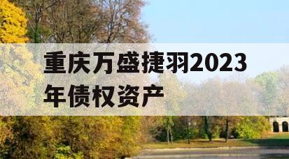重庆万盛捷羽2023年债权资产