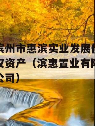 滨州市惠滨实业发展债权资产（滨惠置业有限公司）