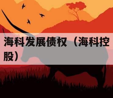 海科发展债权（海科控股）
