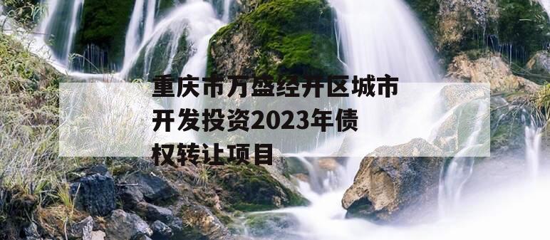重庆市万盛经开区城市开发投资2023年债权转让项目