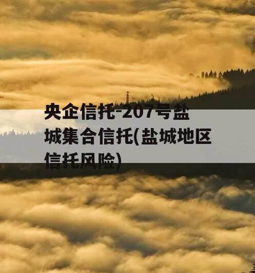 央企信托-207号盐城集合信托(盐城地区信托风险)