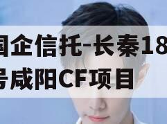 国企信托-长秦182号咸阳CF项目