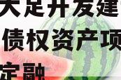 重庆大足开发建设2023年债权资产项目政府债定融