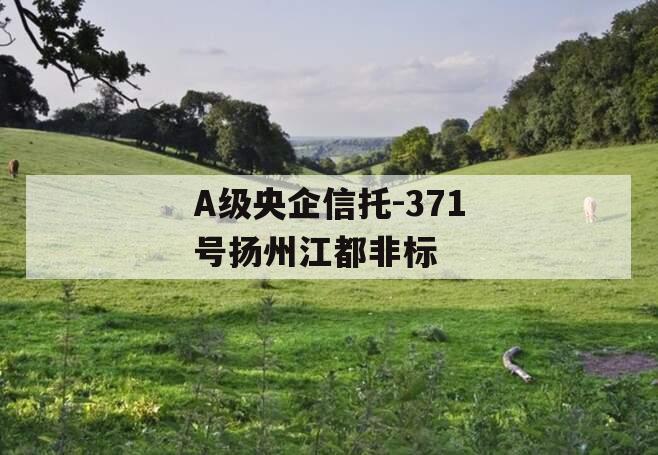 A级央企信托-371号扬州江都非标