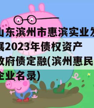 山东滨州市惠滨实业发展2023年债权资产政府债定融(滨州惠民企业名录)
