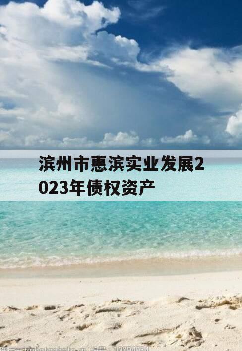 滨州市惠滨实业发展2023年债权资产