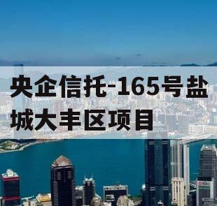央企信托-165号盐城大丰区项目