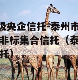 A级央企信托-泰州市级非标集合信托（泰兴信托）
