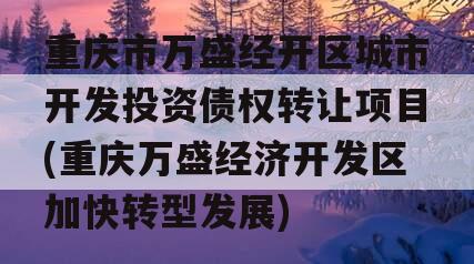 重庆市万盛经开区城市开发投资债权转让项目(重庆万盛经济开发区加快转型发展)