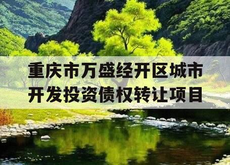 重庆市万盛经开区城市开发投资债权转让项目