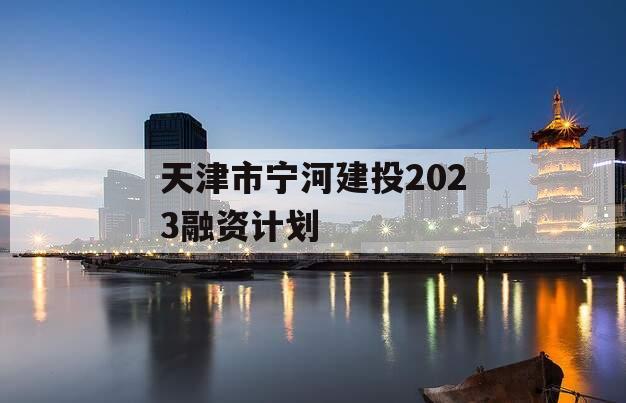 天津市宁河建投2023融资计划