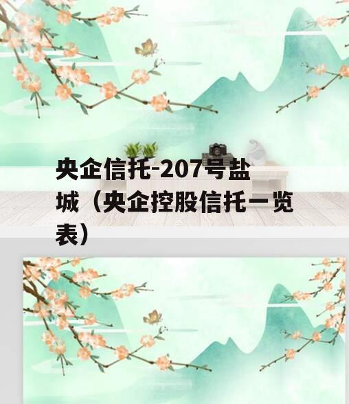 央企信托-207号盐城（央企控股信托一览表）