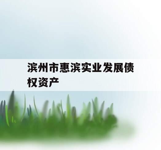 滨州市惠滨实业发展债权资产
