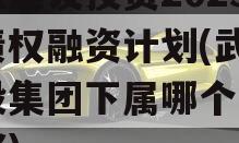 武隆建设投资2023年债权融资计划(武隆建投集团下属哪个公司最好)
