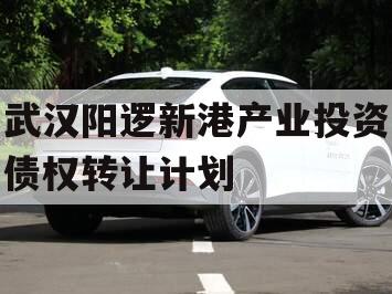 武汉阳逻新港产业投资债权转让计划