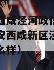 西安西咸泾河政信1号（西安西咸新区泾河新城怎么样）