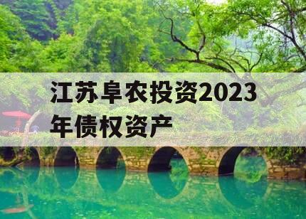 江苏阜农投资2023年债权资产