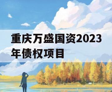重庆万盛国资2023年债权项目