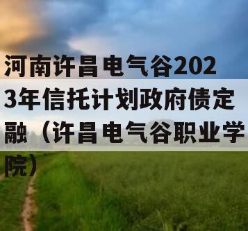 河南许昌电气谷2023年信托计划政府债定融（许昌电气谷职业学院）