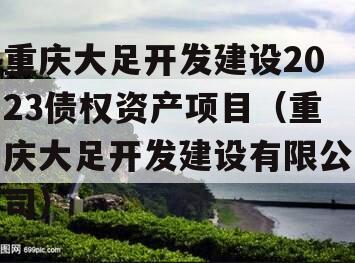 重庆大足开发建设2023债权资产项目（重庆大足开发建设有限公司）