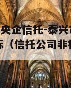 A类央企信托-泰兴市非标（信托公司非标业务）