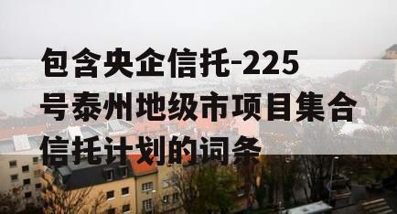 包含央企信托-225号泰州地级市项目集合信托计划的词条