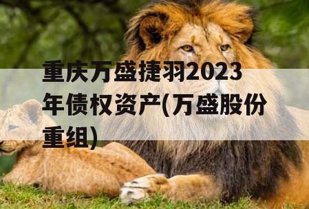 重庆万盛捷羽2023年债权资产(万盛股份重组)